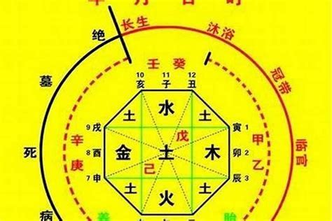 八字忌金|八字五行忌金是什么意思